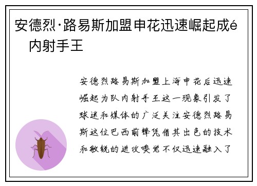 安德烈·路易斯加盟申花迅速崛起成队内射手王